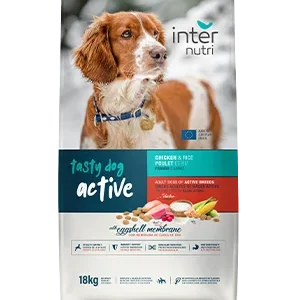 tasty dog active