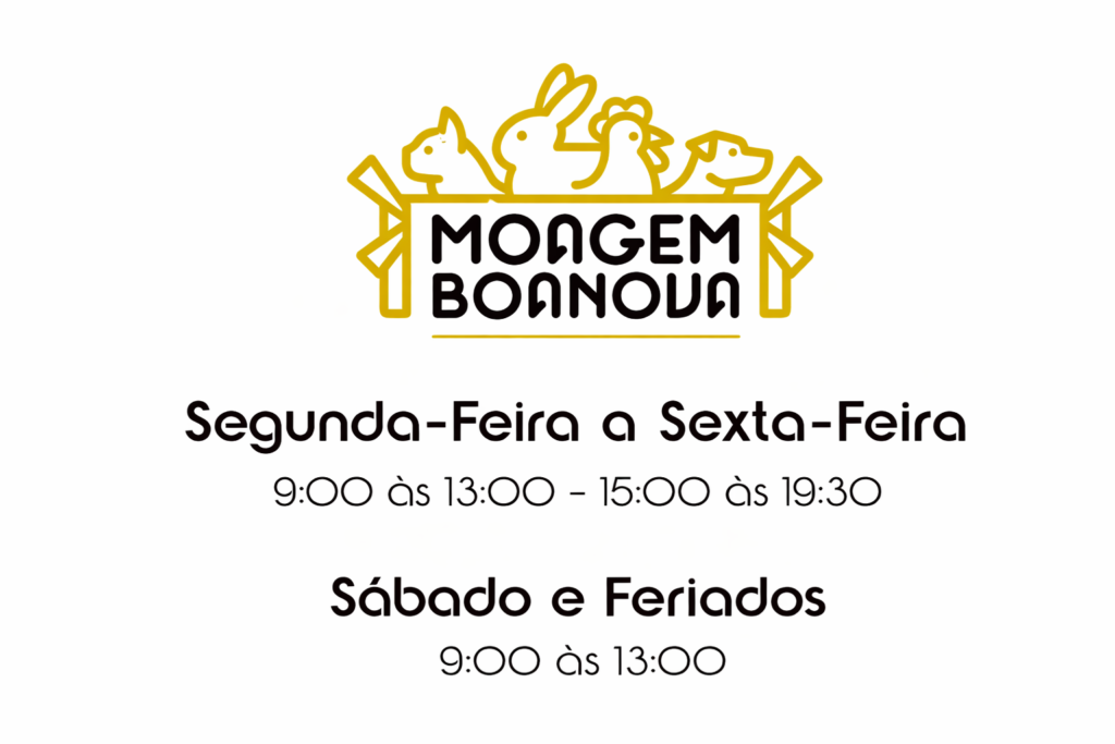 chatgpt image 27 02 2026, 15 58 41