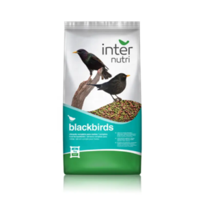 internutri black birds