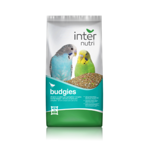 internutri periquitos