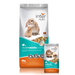 internutri coelhos anões