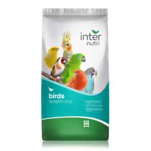 internutri pintassilgos