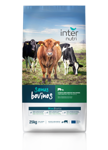 internutri sanus bife 1
