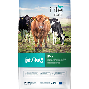 internutri b311