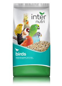 internutri agapórnis