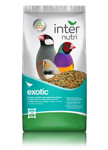 internutri exotic