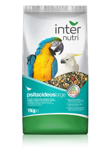 internutri pístacideos large