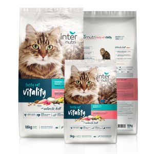 internutri cat vitality