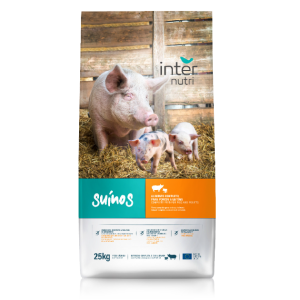 internutri suínos s 815