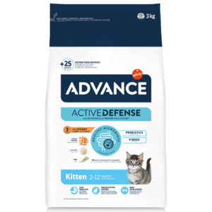 advance kitten