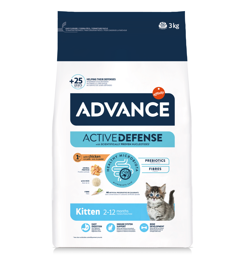 advance kitten advance kitten