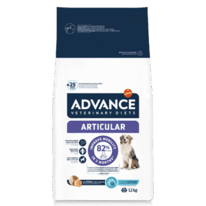 advance articular cão