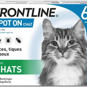 frontline gato