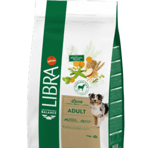 libra cão adulto com cordeiro