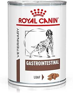 royal canin gastrointestinal
