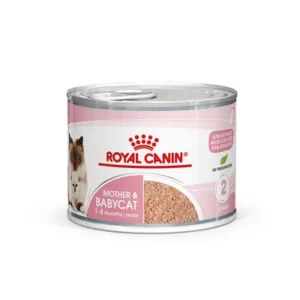royal canin mother&baby cat