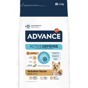advance yorkshire terrier